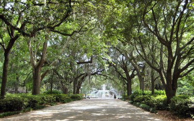 Forsyth Park in Savannah Georgia