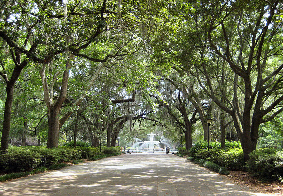 Forsyth Park Ga