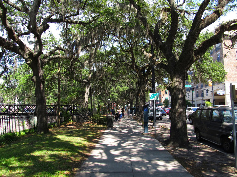 Historic Savannah, GA